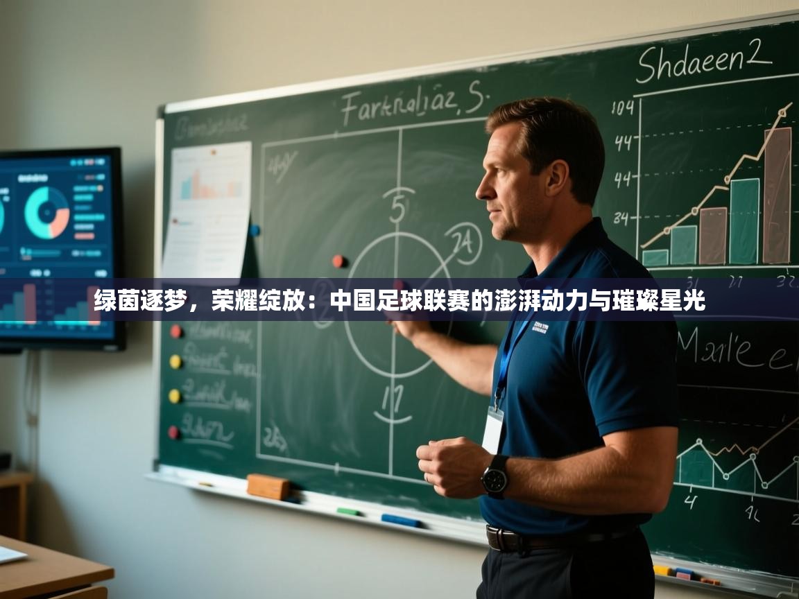绿茵逐梦，荣耀绽放：中国足球联赛的澎湃动力与璀璨星光