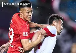 不莱梅惨败如梦，主场失利难堪挫折的简单介绍