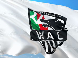 开云体育入口-“东部新区赛场，腰旗美式橄榄球让人血脉喷张”  第2张